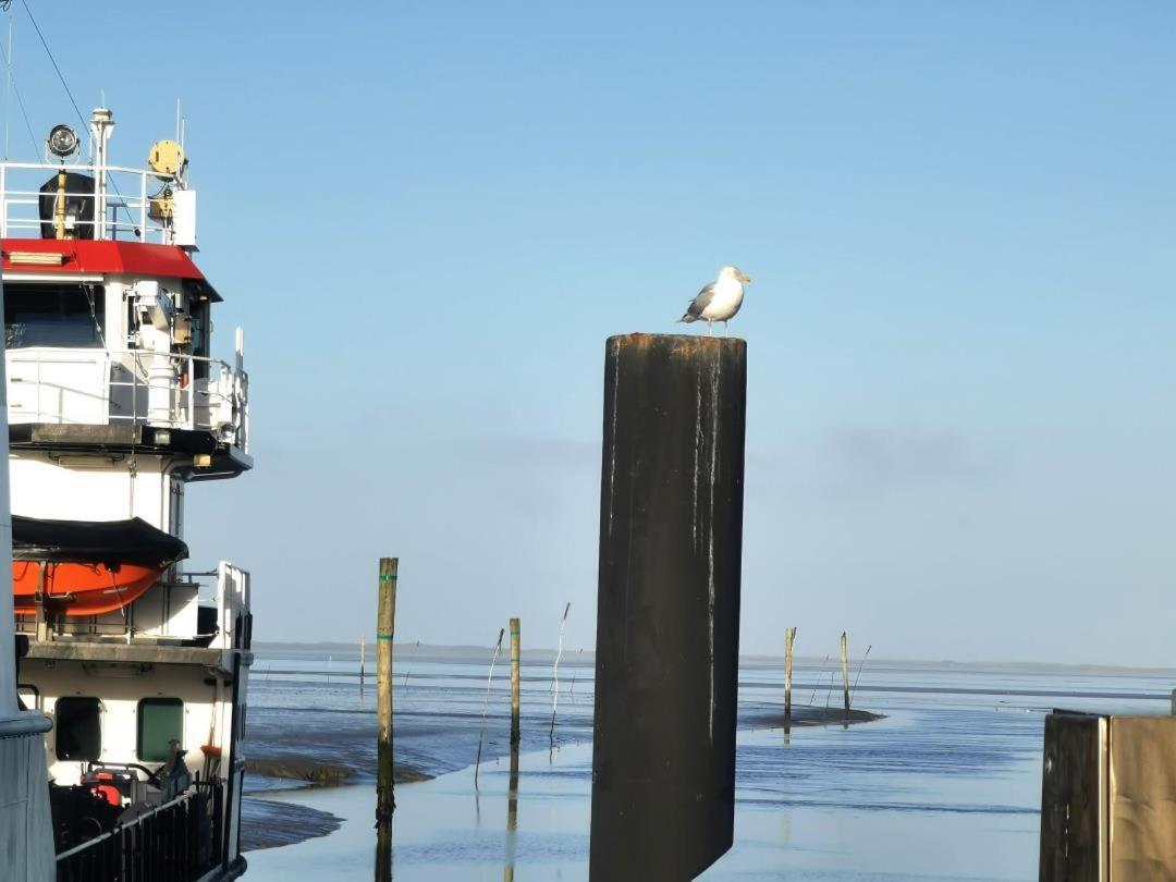 Schicke Ferienwohnung Julia An Der Nordsee Lutetsburg Экстерьер фото